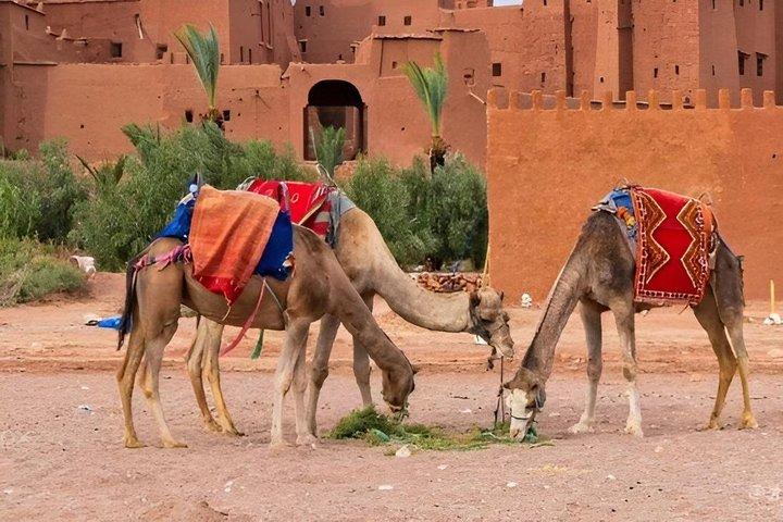 5 day - Mountains, berber villages, twin gorges and desert dunes