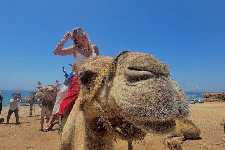 Tangier Day Trip from Casablanca to Tangier High Speed Train