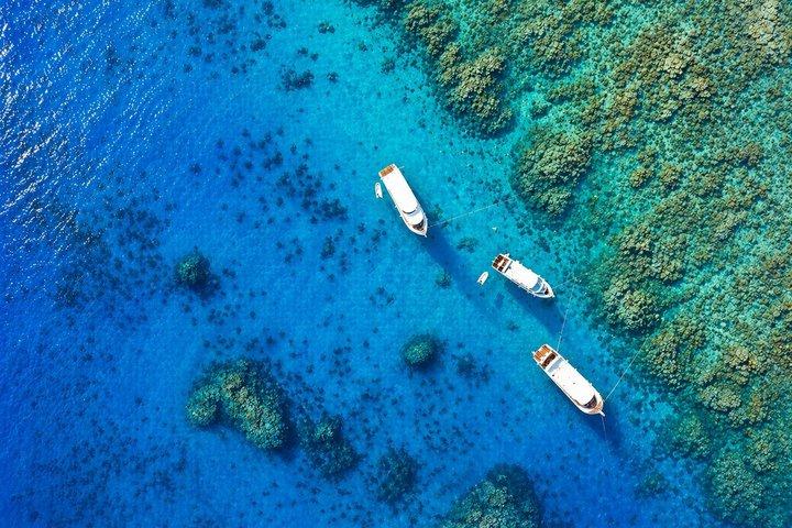Hurghada: VIP Seafood Yacht to 3 Islands, Dolphins & Snorkeling