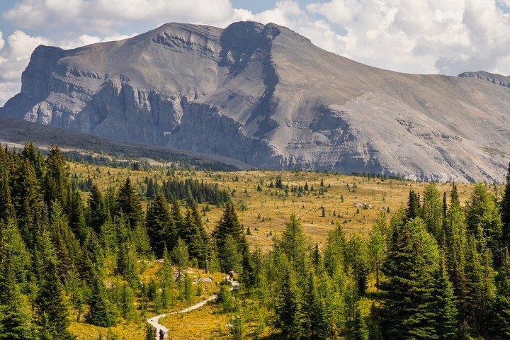 Banff Tour — Hike in Sunshine Meadow & Johnston Canyon — Gondolas