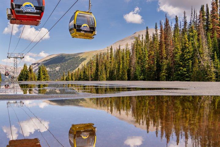 Banff Tour — Hike in Sunshine Meadow & Johnston Canyon — Gondolas