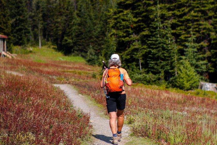 Banff Tour — Hike in Sunshine Meadow & Johnston Canyon — Gondolas