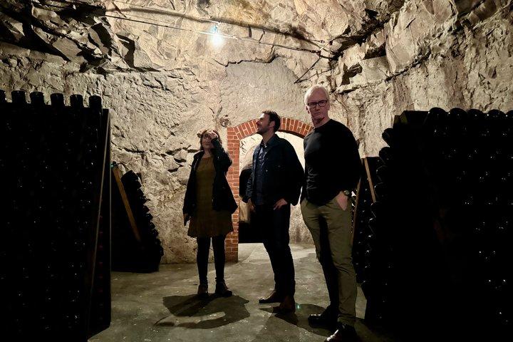 Champagne vineyards & cellars tour with Sommelier from Paris