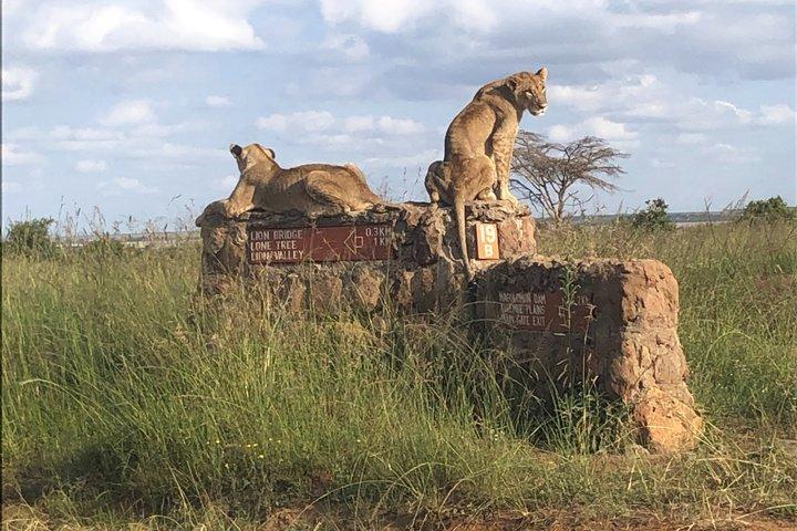 Nairobi National Park and Giraffe Center Day Excursion