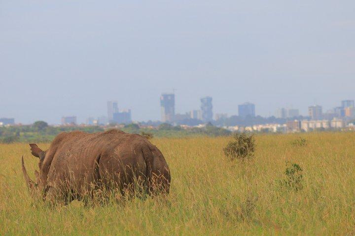 Nairobi National Park and Giraffe Center Day Excursion