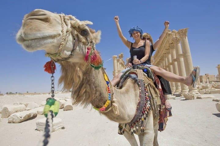 Camel Ride at the West Bank