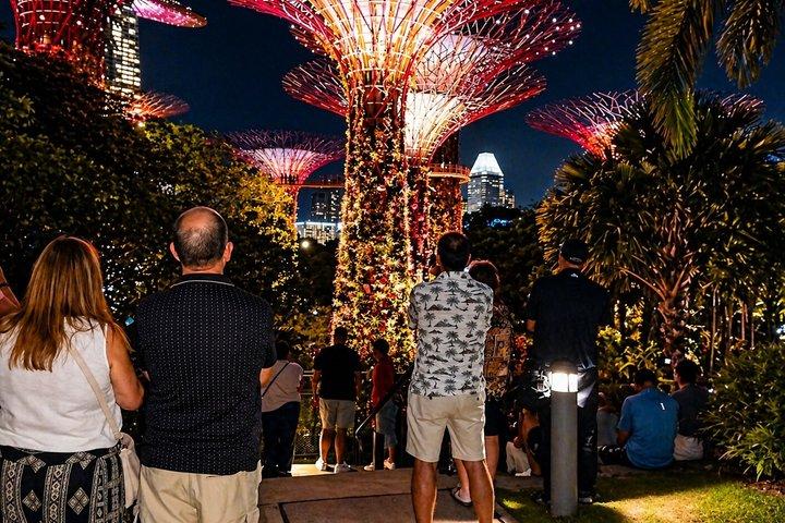 Singapore Starry Night River Cruise, Spectra & Garden Rhapsody