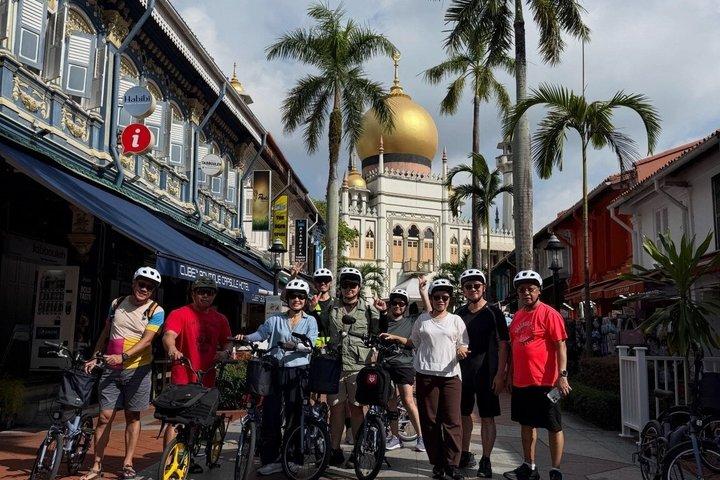 Singapore City Highlights Bike Tour (4-Hour Heritage Ride)