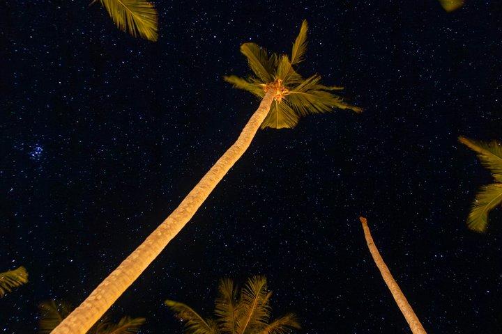 Night Snorkeling at Blue Heron Bridge – Guided Group Experience