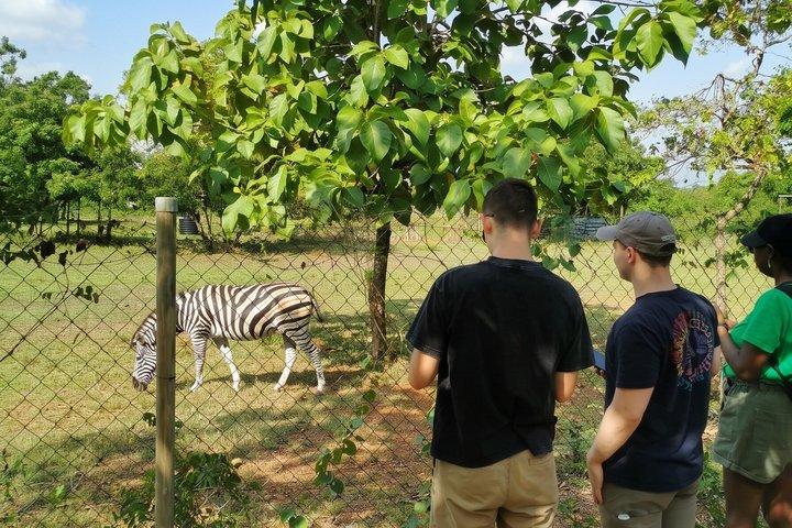 Shia Hills Safari & Akosombo Boat Cruise Day Tour