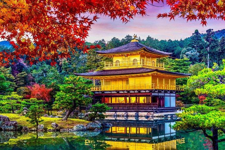 Kyoto Highlights:Custom Private Tour with English-Speaking Driver