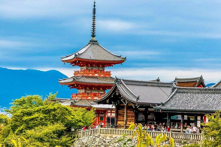 Kyoto Highlights:Custom Private Tour with English-Speaking Driver
