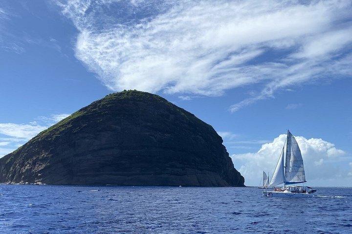 Catamaran Trip to Ilot Gabriel, flat Island and Coin de mire