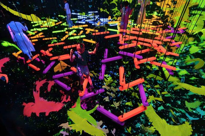 Kyoto TeamLab Biovortex Admission