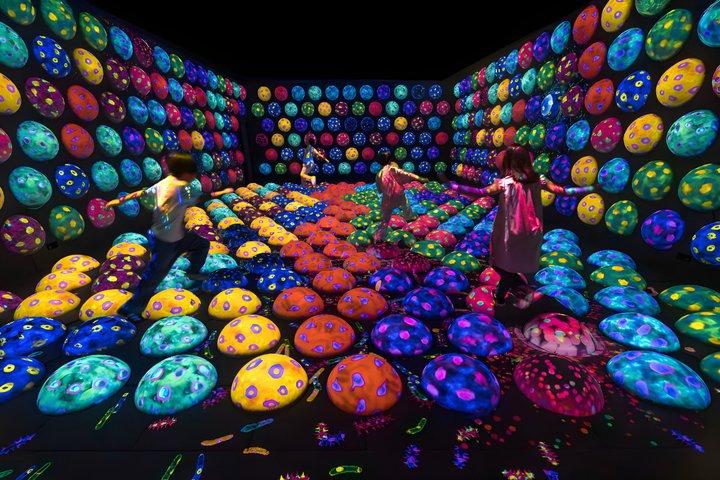 Kyoto TeamLab Biovortex Admission