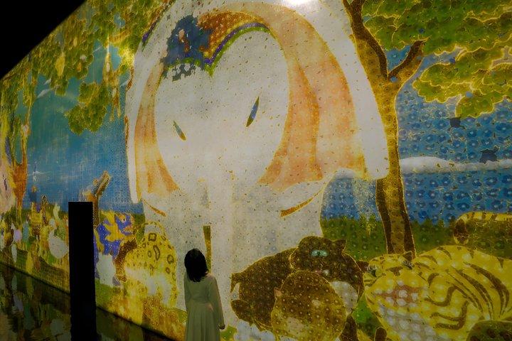 Kyoto TeamLab Biovortex Admission