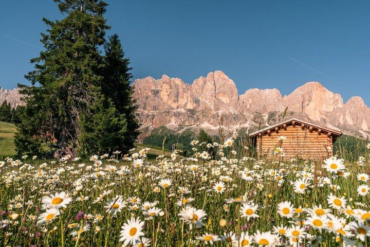From Bolzano Day Tour Highlights of the Dolomites
