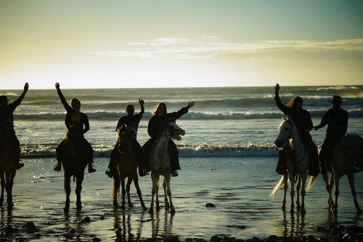 Agadir Tamraght Riding Center Taghazout Ocean Horse
