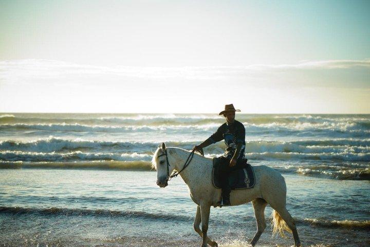 Agadir Tamraght Riding Center Taghazout Ocean Horse