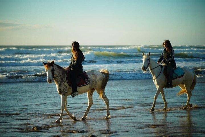 Agadir Tamraght Riding Center Taghazout Ocean Horse
