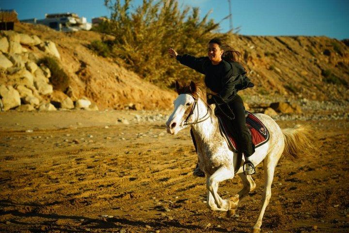 Agadir Tamraght Riding Center Taghazout Ocean Horse