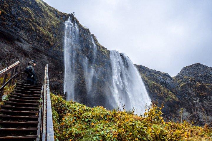 Reykjavík: South Coast, Black Sand Beach with Waterfalls Day Tour