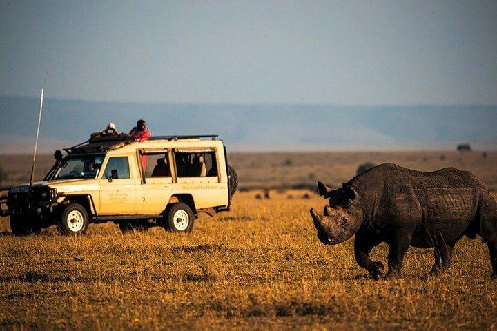 Private 6Day Kenya Big 5 Safari:Nairobi,Aberdare,Nakuru,MasaiMara