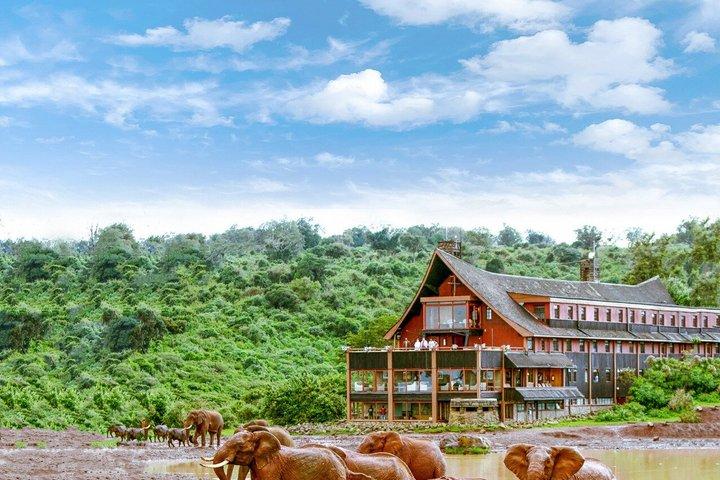 Private 6Day Kenya Big 5 Safari:Nairobi,Aberdare,Nakuru,MasaiMara