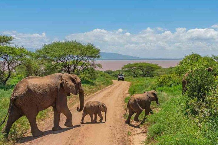 Tarangire National Park Day trip