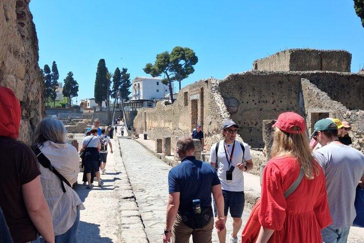 2-Hours Skip-the-Line Tour in Herculaneum