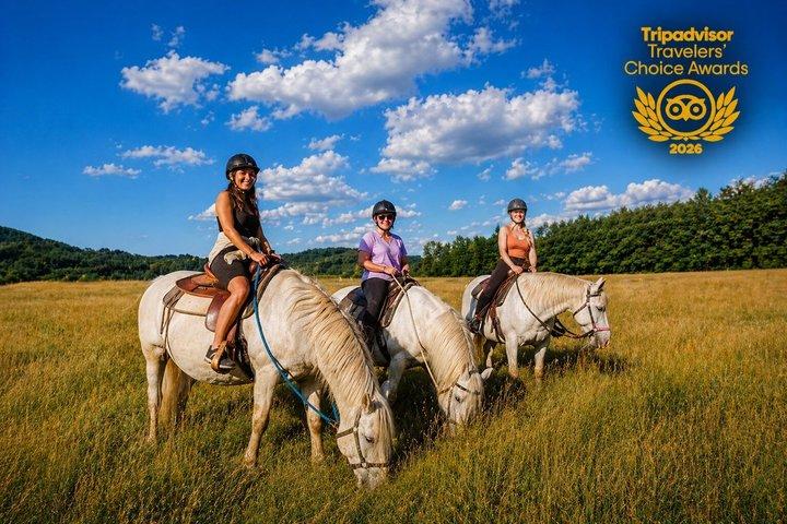 Horseback Riding Tour in Bohemian Switzerland