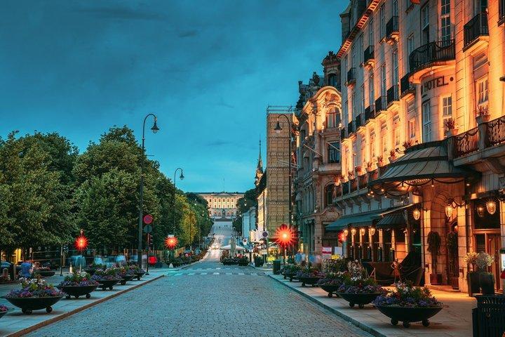 Oslo Private Evening Tour with City Lights and Fjord Views