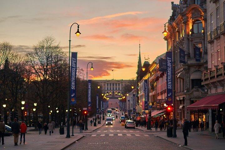 Oslo Private Evening Tour with City Lights and Fjord Views