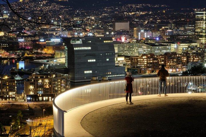 Oslo Private Evening Tour with City Lights and Fjord Views