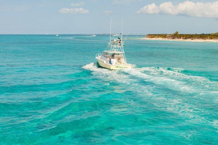 Private 1/2 Day Morning Deep Sea Fishing Charter on "Wahooters"