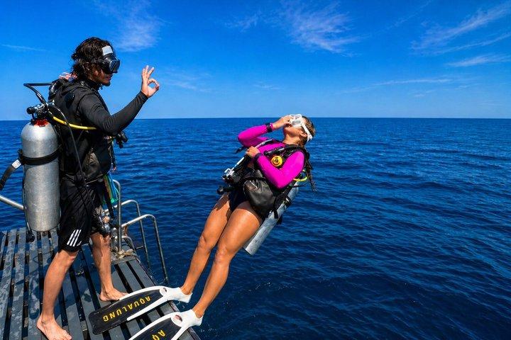 White Island & Ras Mohammed Boat Trip with Diving And Snorkeling