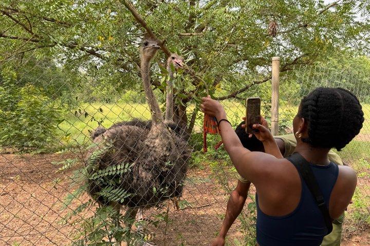 Shai hills and Volta lake Boat Cruise day tour