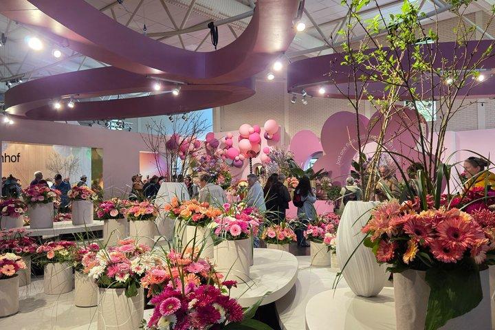 Private Transfer to Keukenhof from Amsterdam with Ticket Option