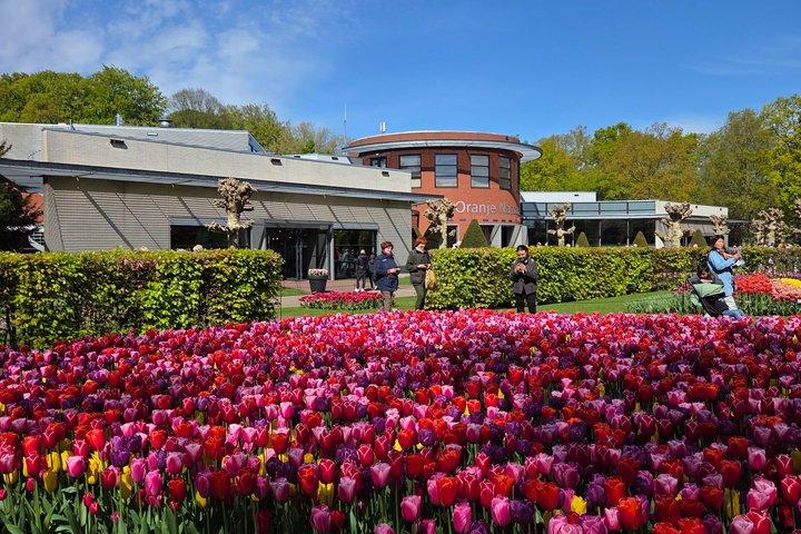 Private Transfer to Keukenhof from Amsterdam with Ticket Option