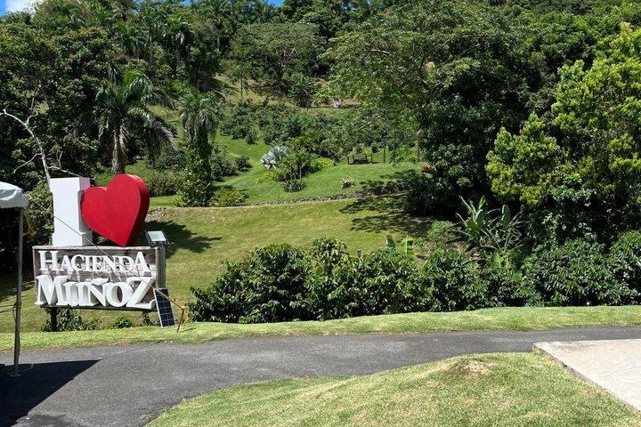 Coffee Farm Hacienda Munoz Store and Caguas Tour