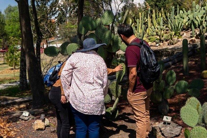 Chapultepec: Cable Car, Castle, Anthropology Museum & Hidden Gems