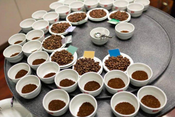 San Jose Hacienda La Chimba Coffee Experience Tour