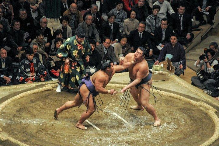 Nagoya Sumo Tickets Reserved Seats with Expert Tour Guide