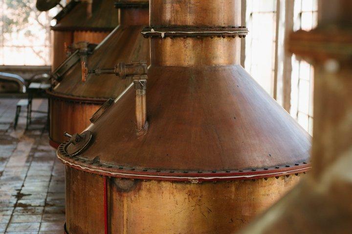 Full-Day Tour in Tequila factory and Cantaritos el Güero