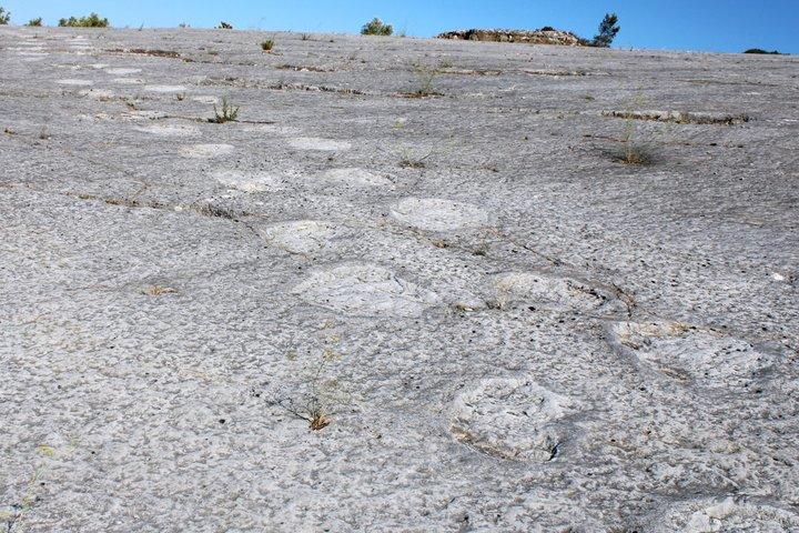 Lisbon: Dinosaur Footprints, Caves, and Obidos Tour
