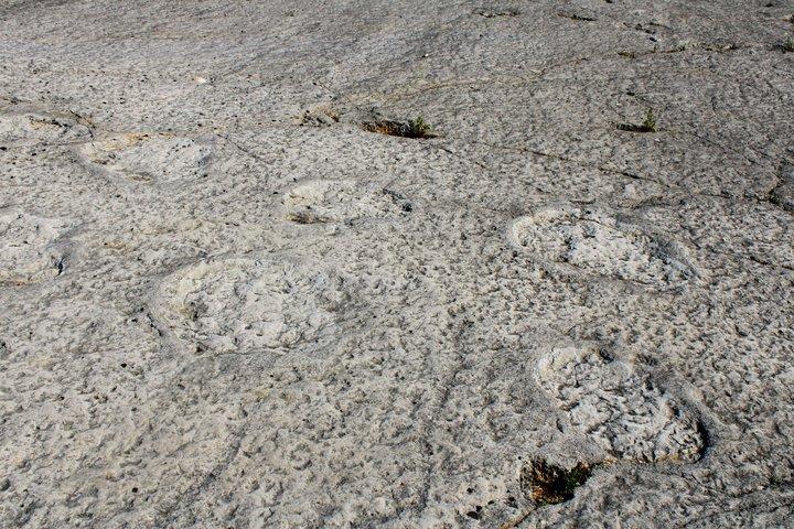 Lisbon: Dinosaur Footprints, Caves, and Obidos Tour