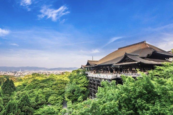 Kyoto Custom Private Tour with Local Guide