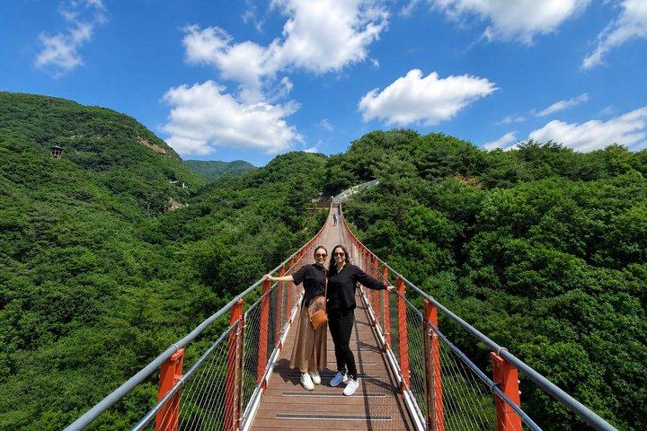 Small Group DMZ Highlight Tour MAX 10 with Suspension Bridge