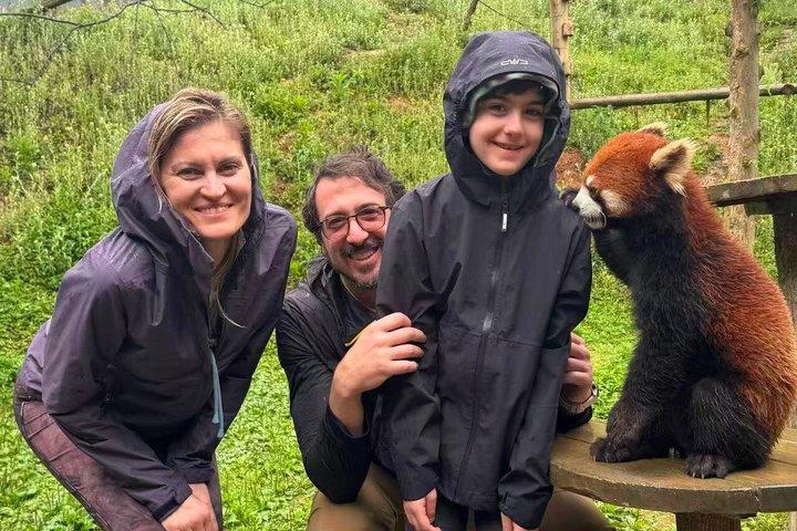 Dujiangyan Panda Base Tour with Optional Red Panda volunteer