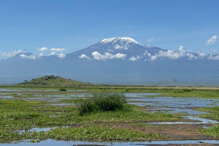 Amboseli Day Excursion